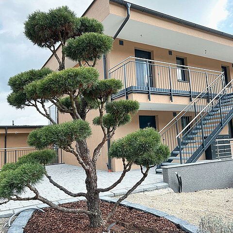 Arbeitsnahe, günstig und sooo schön So sind die neue Wohnungen für unsere Mitarbeiter. Wir freuen uns sehr, unseren Mitarbeitern ein schönes Zuhause zu bieten! Wie gefallen sie Euch?