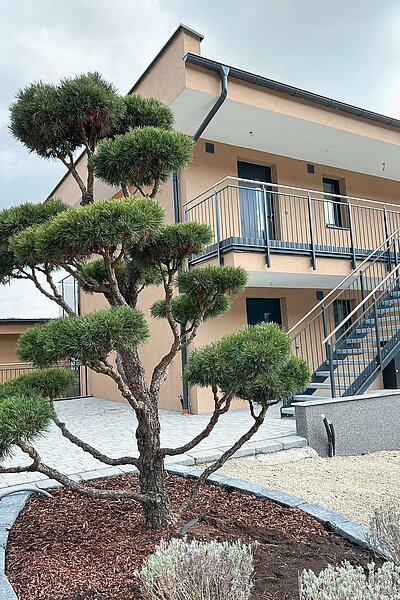 Arbeitsnahe, günstig und sooo schön So sind die neue Wohnungen für unsere Mitarbeiter. Wir freuen uns sehr, unseren Mitarbeitern ein schönes Zuhause zu bieten! Wie gefallen sie Euch?