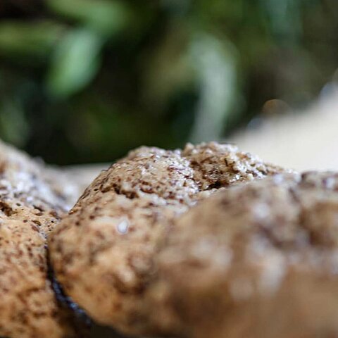 Sunday - Vibe: ON Wenn der Tag nach cosy Moments ruft und die Welt ein bisschen langsamer wird, sind unsere Schokomakronen der perfekte Zeitvertreib.